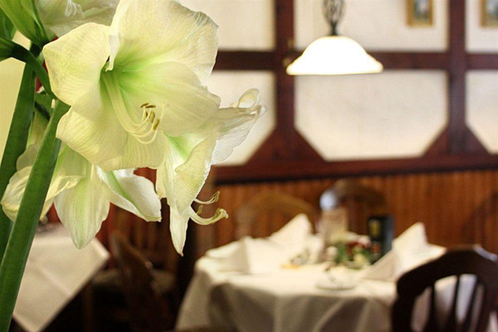 Hotel Kaiserquelle Salzgitter Εξωτερικό φωτογραφία